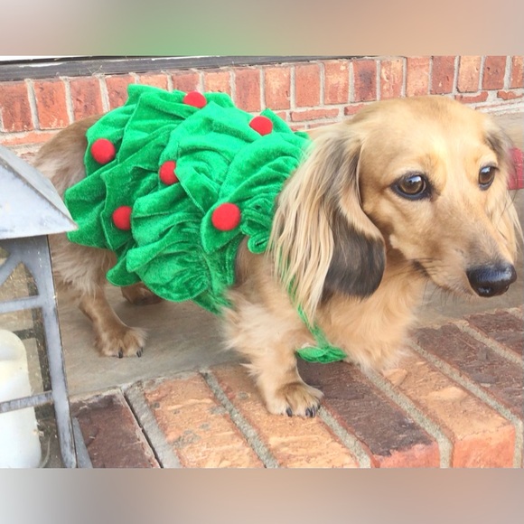 Pet Spirit Christmas Tree Dog Dress Costume Green Red Pom Poms Dog Clothing - Picture 1 of 10